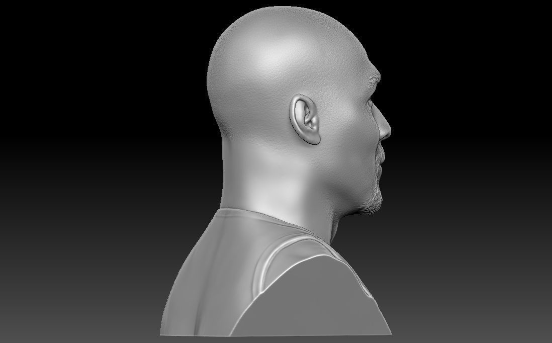 Karl Malone bust for 3D printing 3D print model_12
