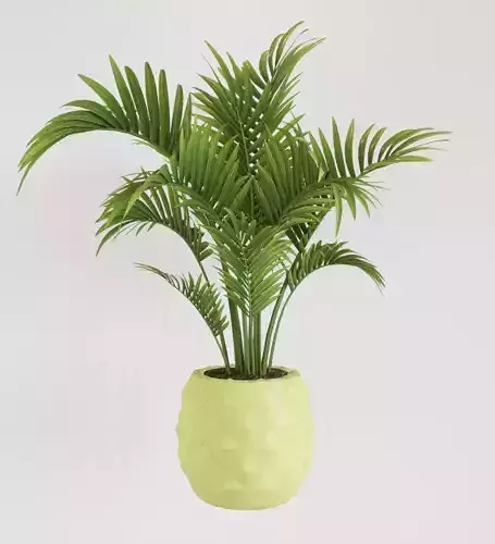 pineapple pot