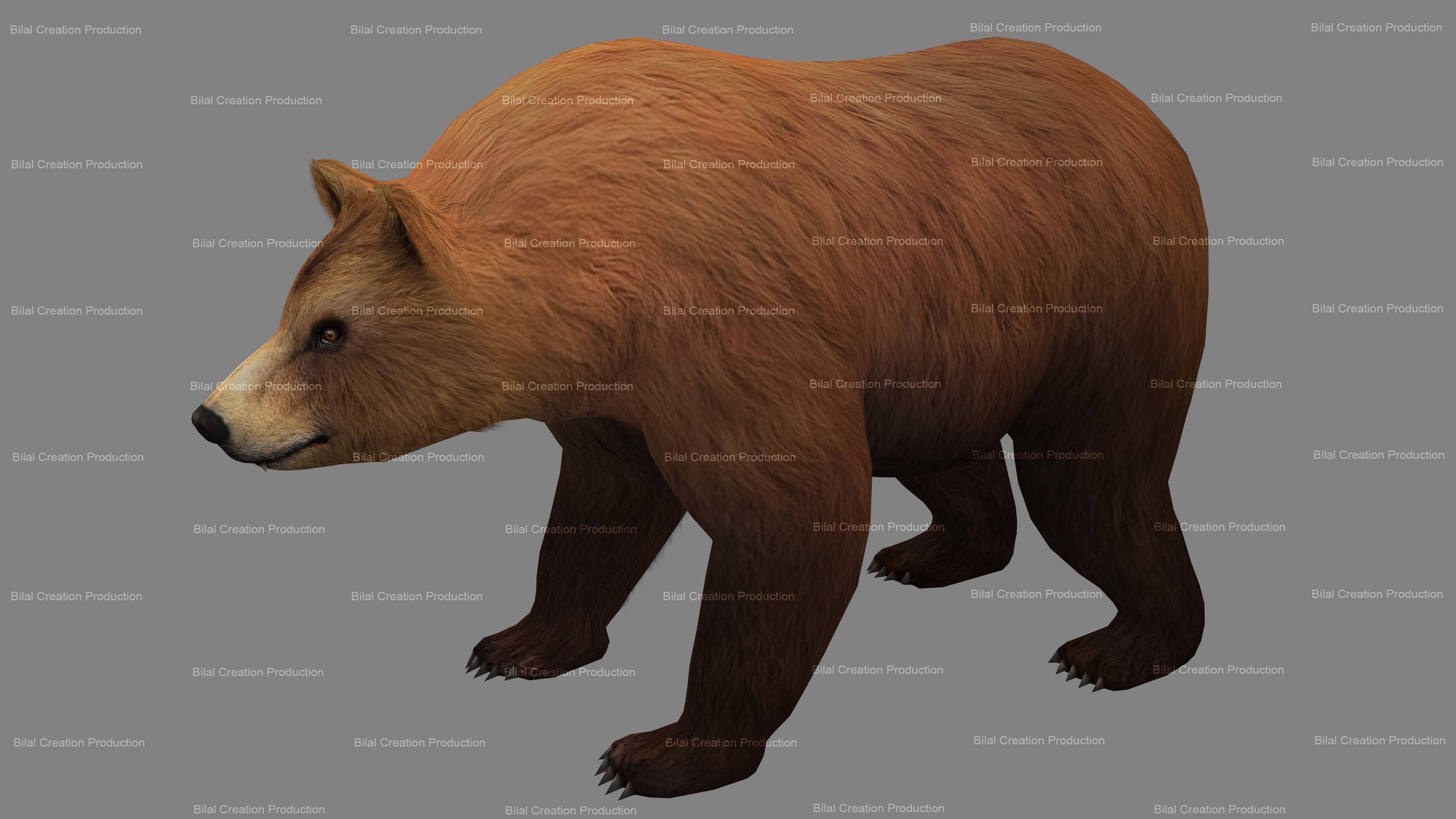 Bear Rigged Animated 10 Low-poly 3D model_10