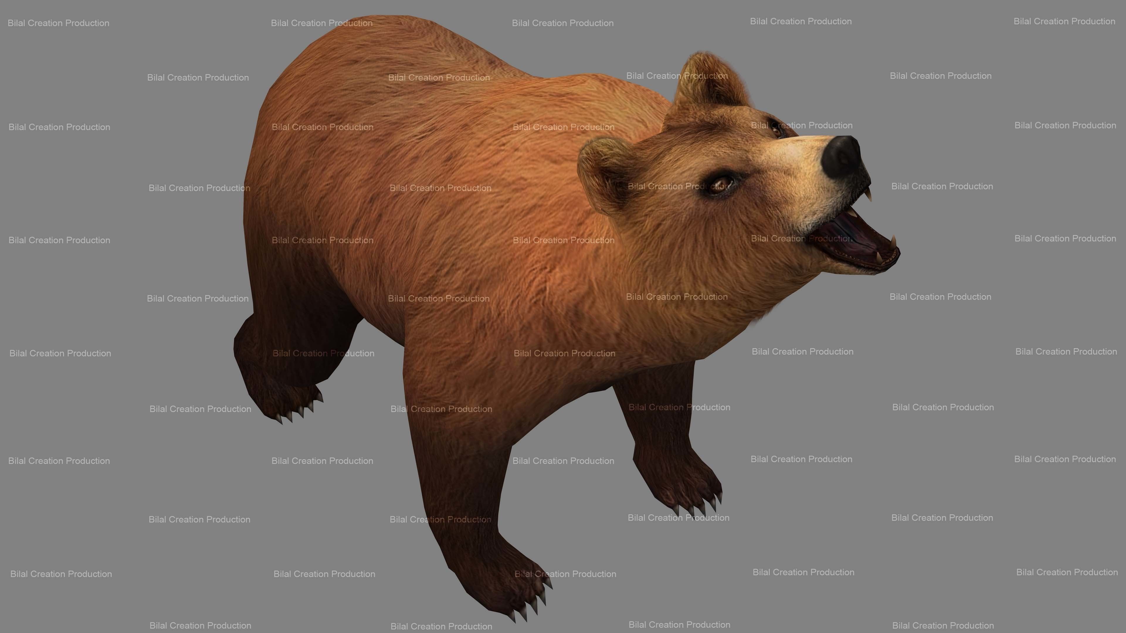 Bear Rigged Animated 10 Low-poly 3D model_13