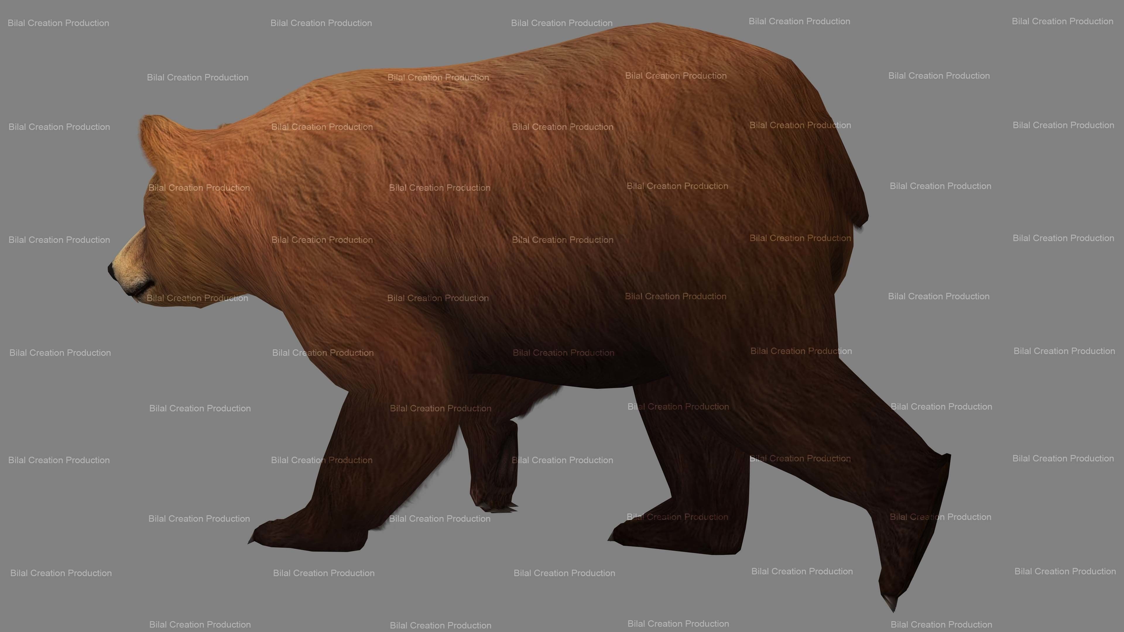 Bear Rigged Animated 10 Low-poly 3D model_4