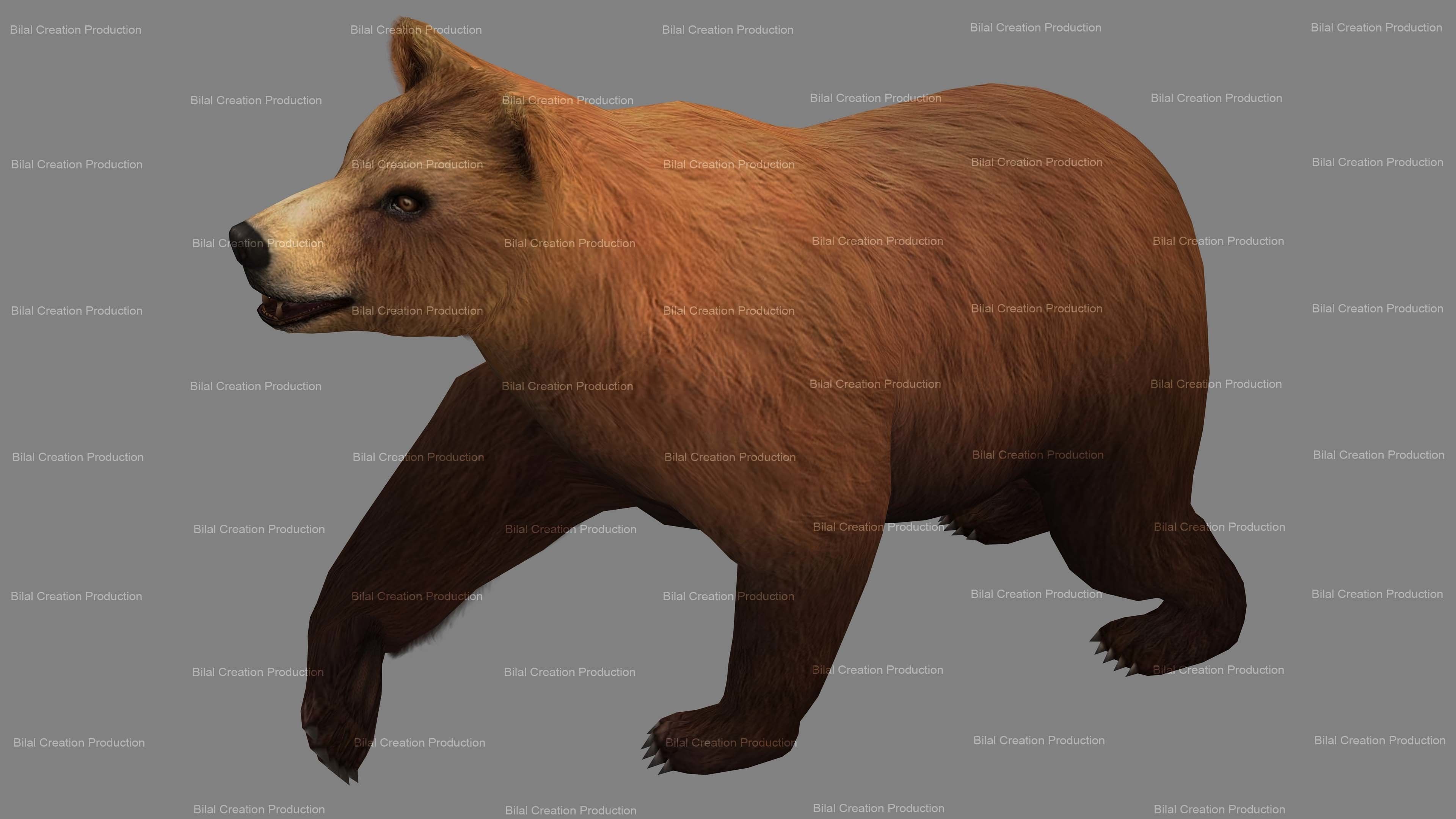 Bear Rigged Animated 10 Low-poly 3D model_14