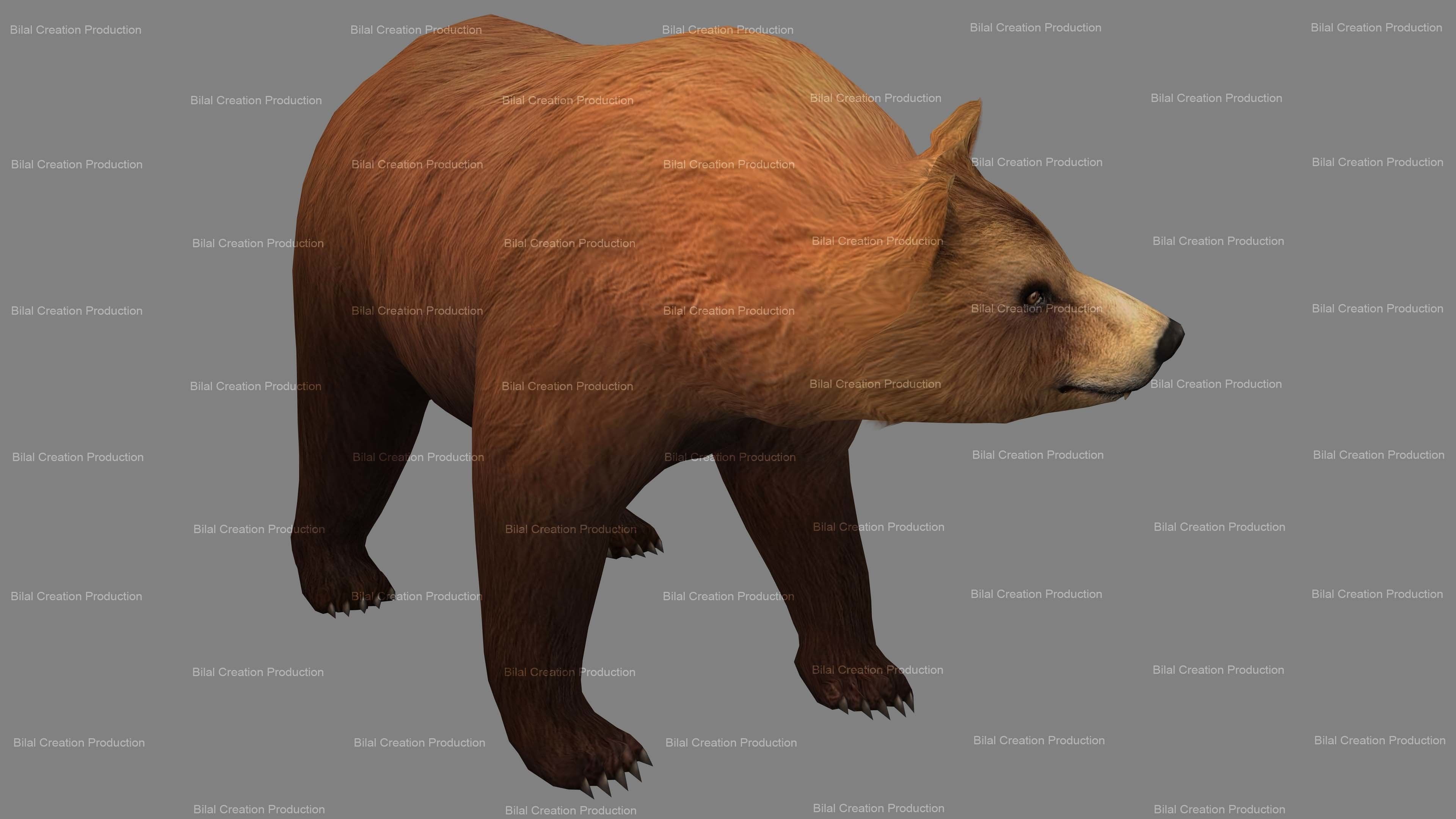 Bear Rigged Animated 10 Low-poly 3D model_6