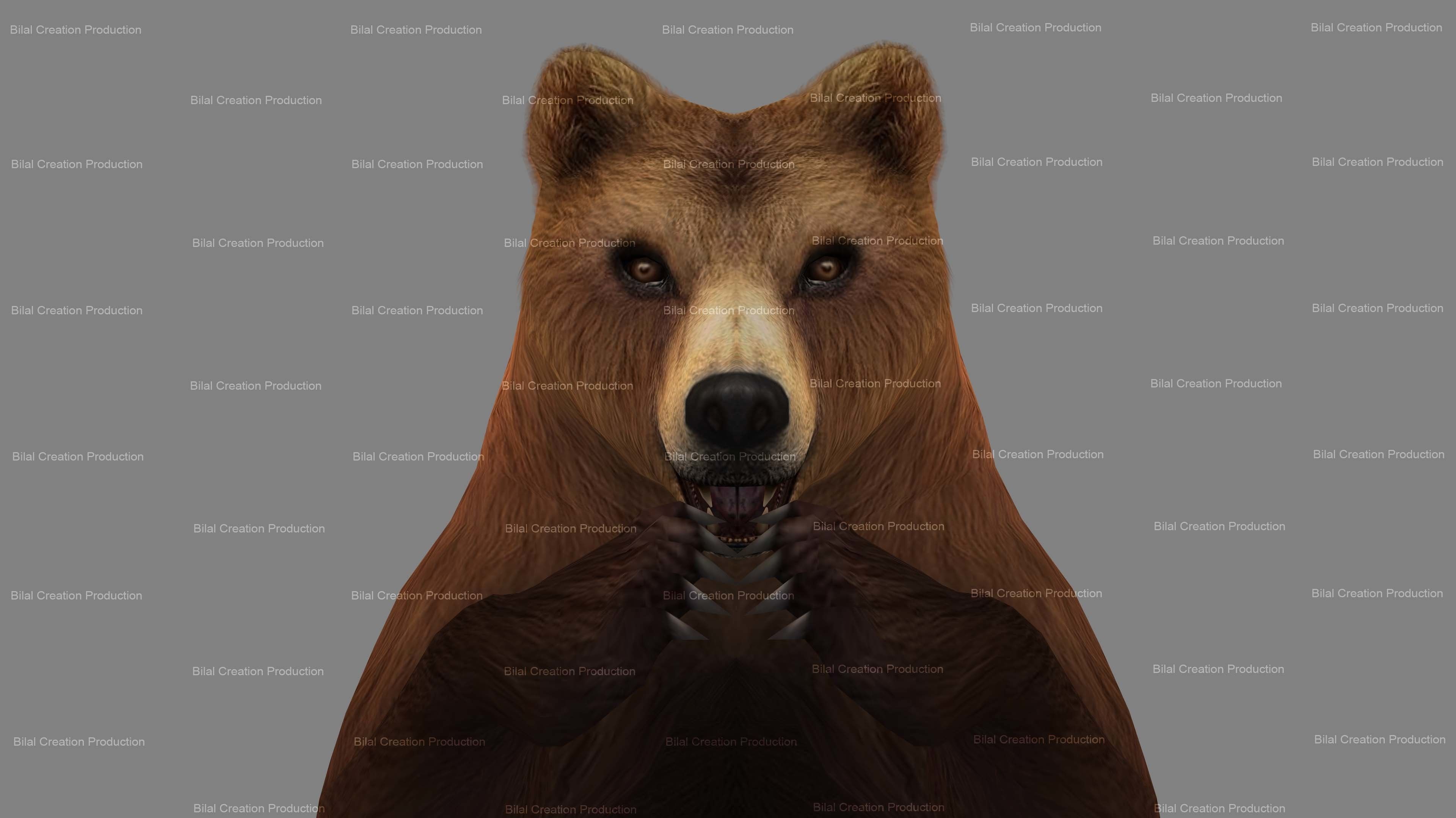 Bear Rigged Animated 10 Low-poly 3D model_9