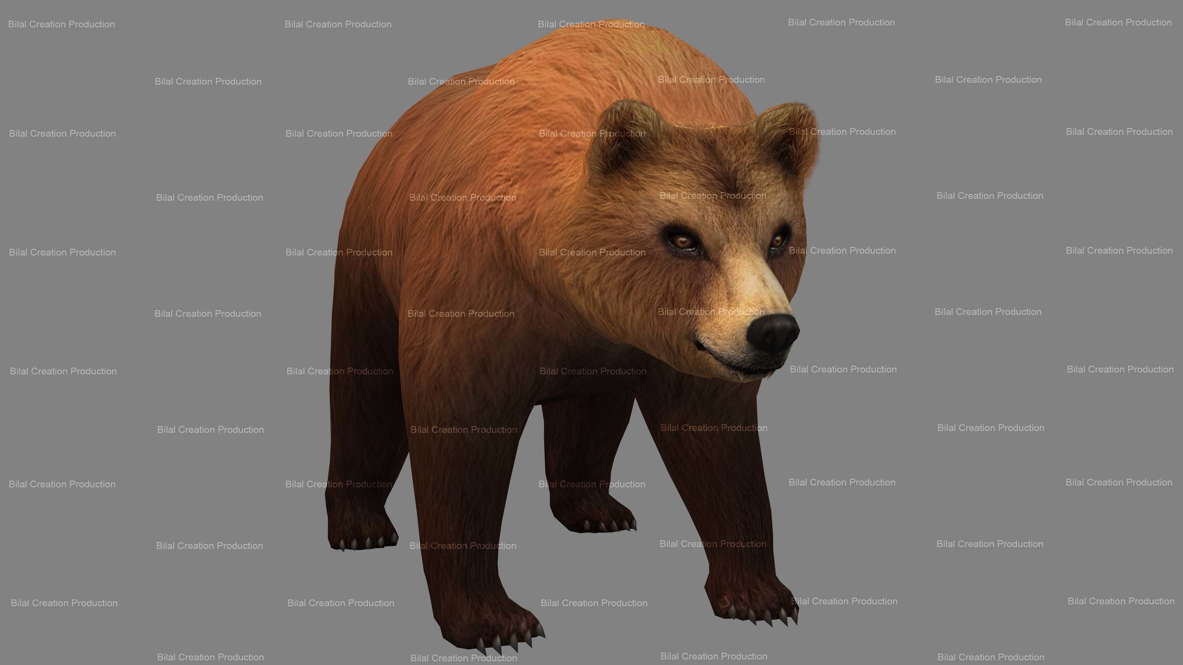 Bear Rigged Animated 10 Low-poly 3D model_2