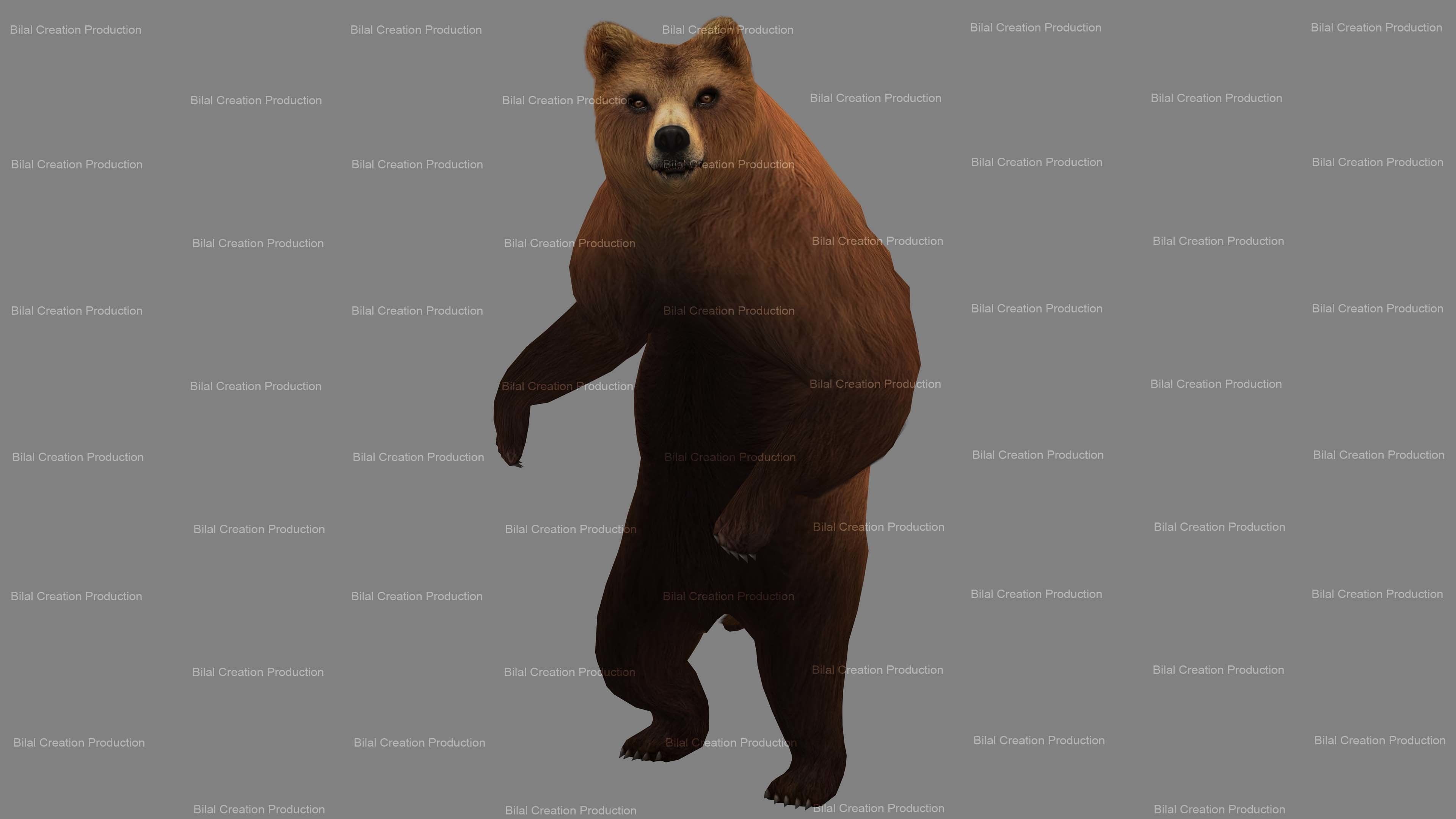 Bear Rigged Animated 10 Low-poly 3D model_7