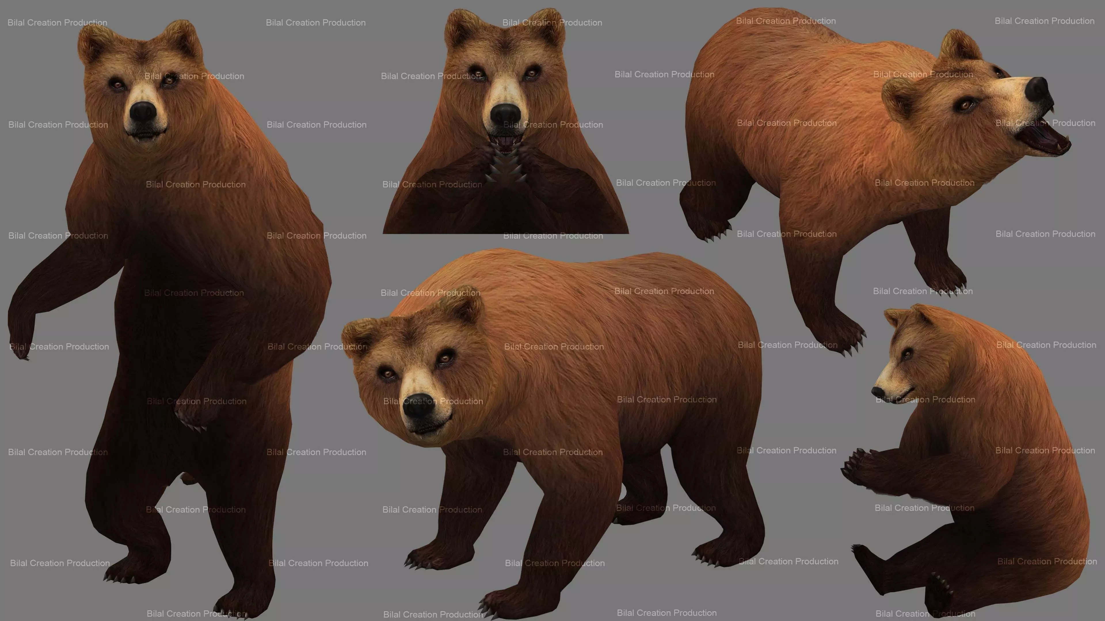 Bear Rigged Animated 10 Low-poly 3D model_0