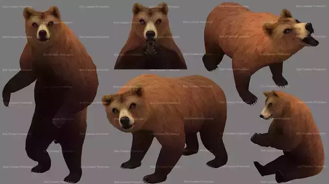 Bear Rigged Animated 10 Low-poly 3D model