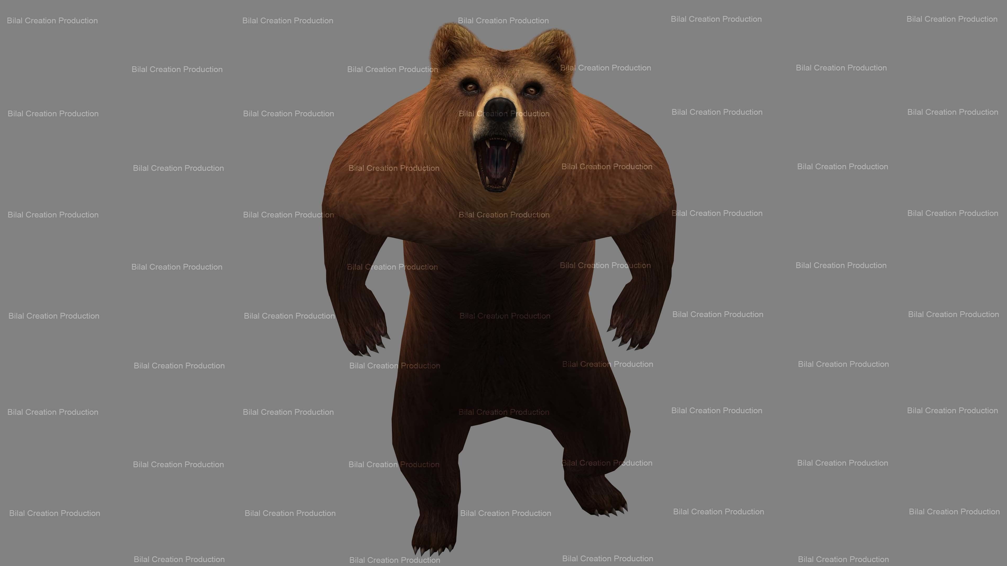 Bear Rigged Animated 10 Low-poly 3D model_12
