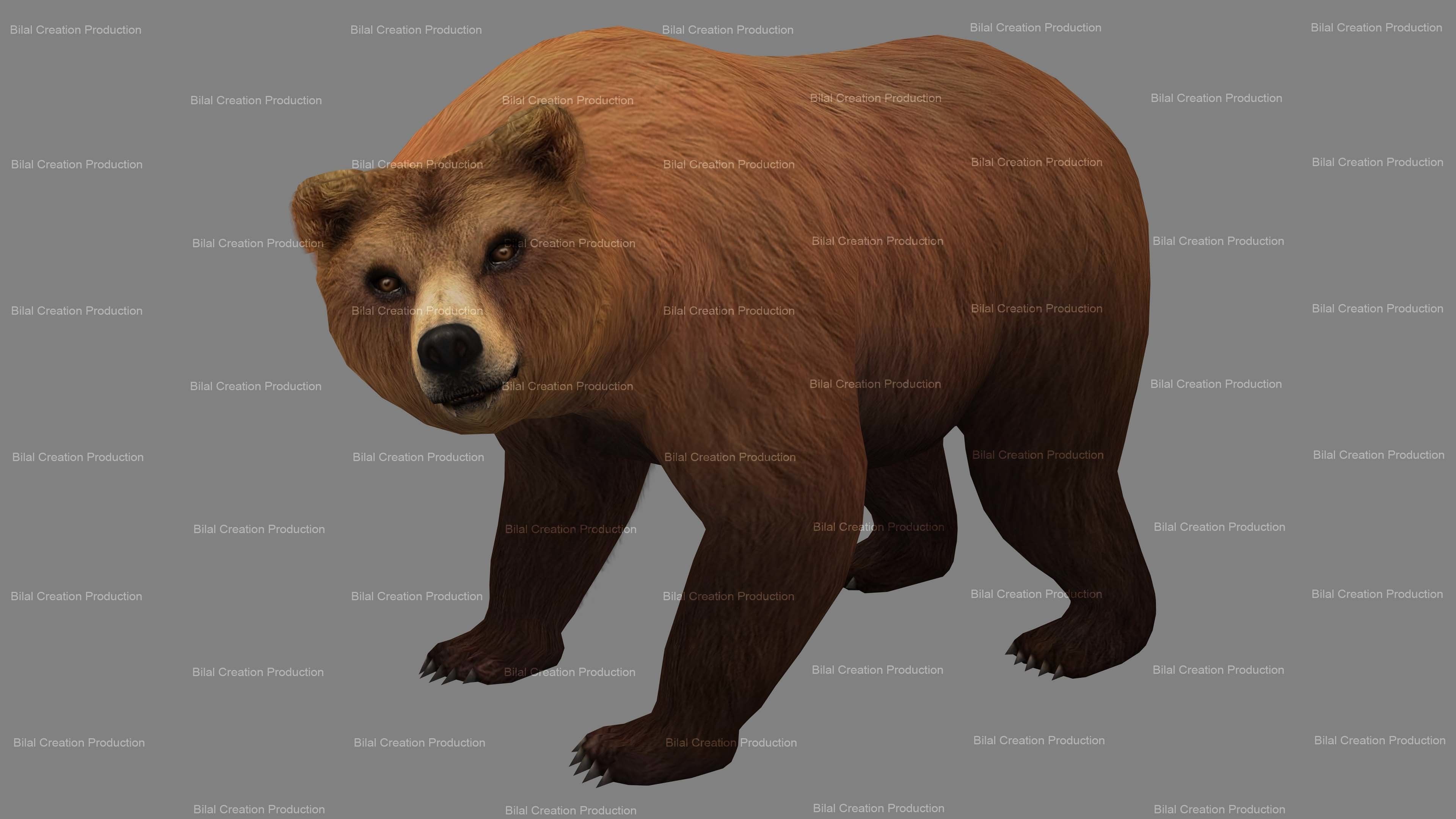 Bear Rigged Animated 10 Low-poly 3D model_11