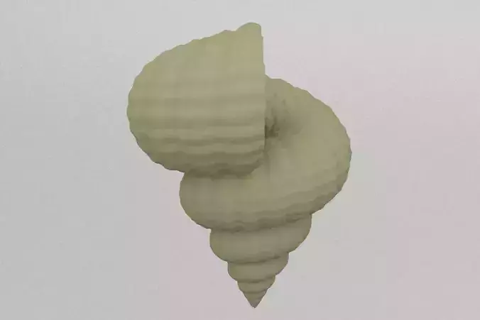 shell 3D print model