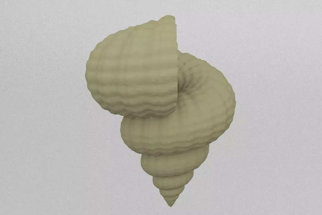 shell 3D print model_0