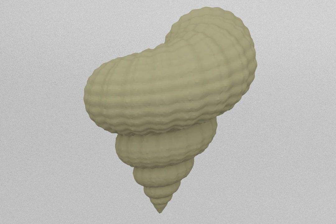 shell 3D print model_4