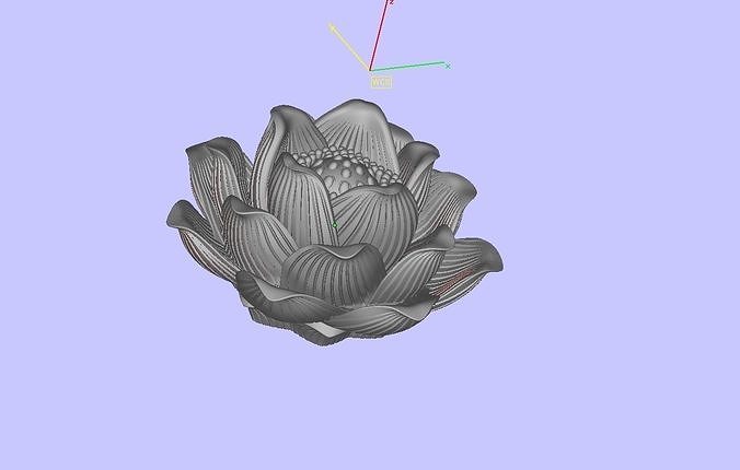 hoa sen 3D model