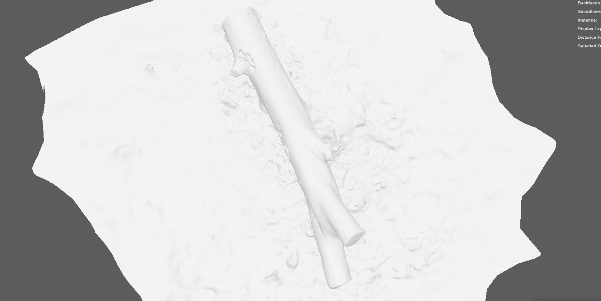 A beautiful tree log surrounded by dried leaves 3D model_3