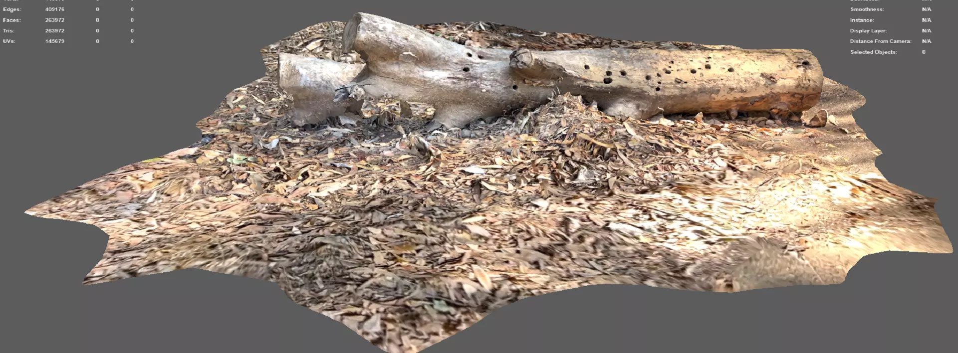 A beautiful tree log surrounded by dried leaves 3D model_0