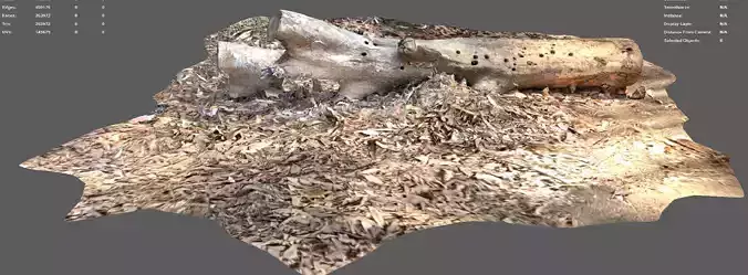 A beautiful tree log surrounded by dried leaves