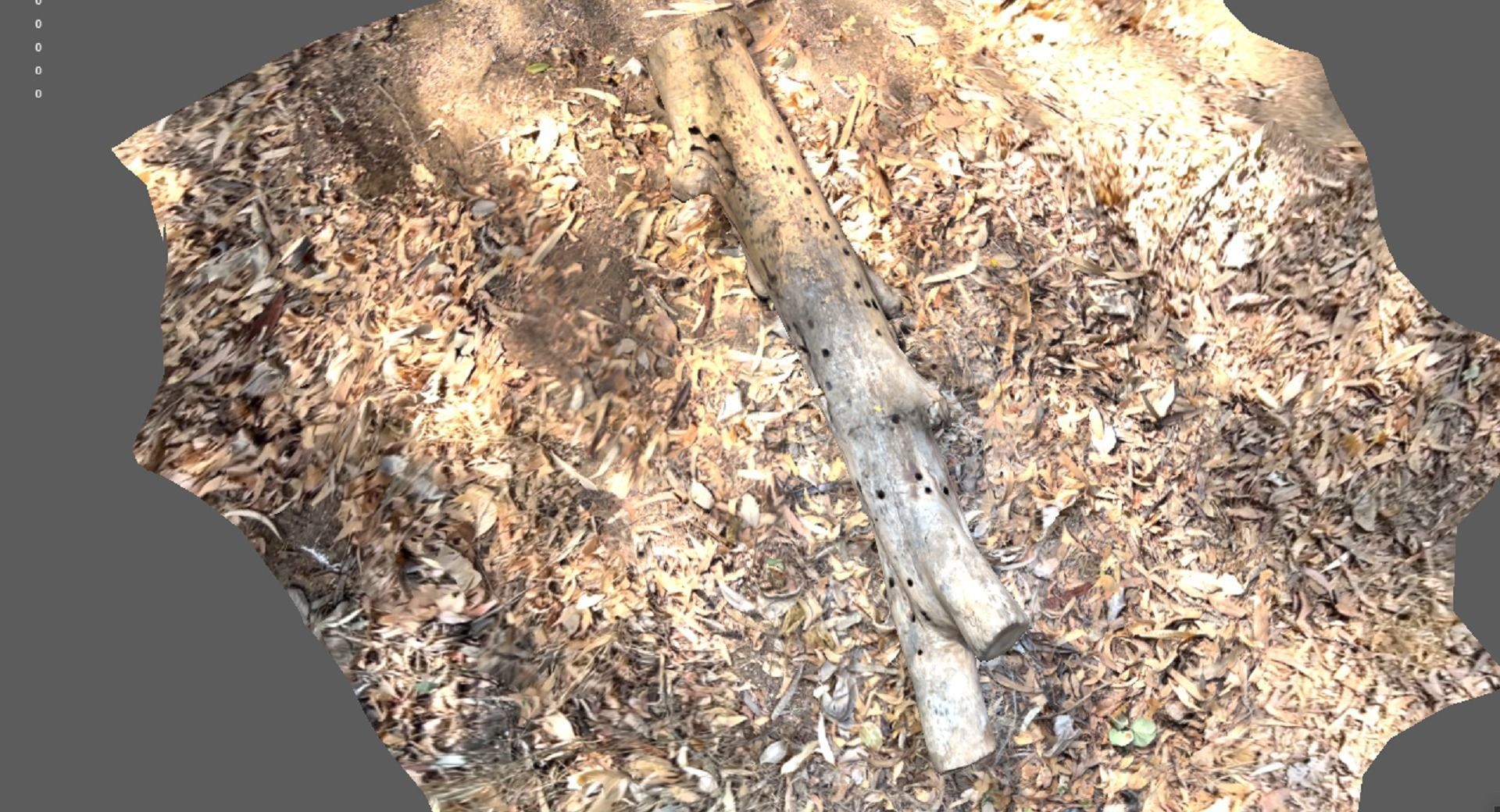 A beautiful tree log surrounded by dried leaves 3D model_2