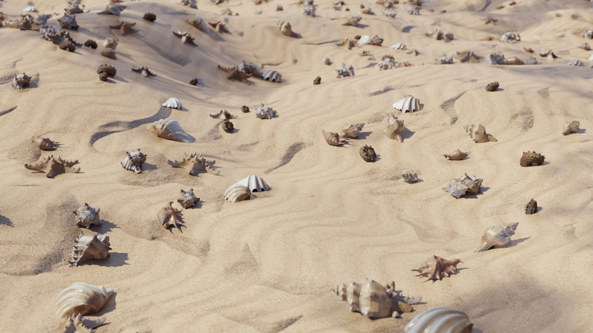 Sea shells collection Vol 1 Low-poly 3D model_5
