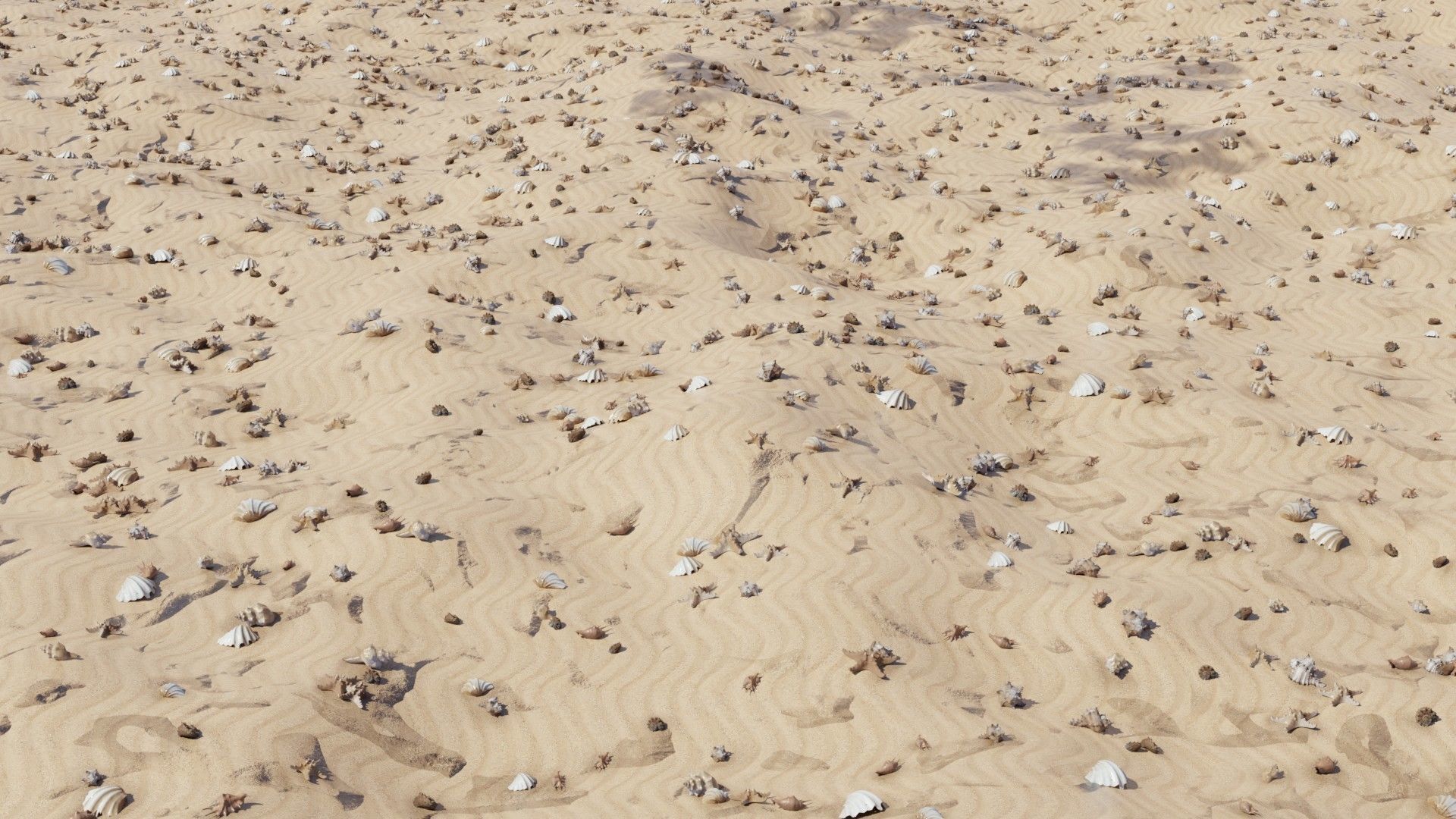 Sea shells collection Vol 1 Low-poly 3D model_6