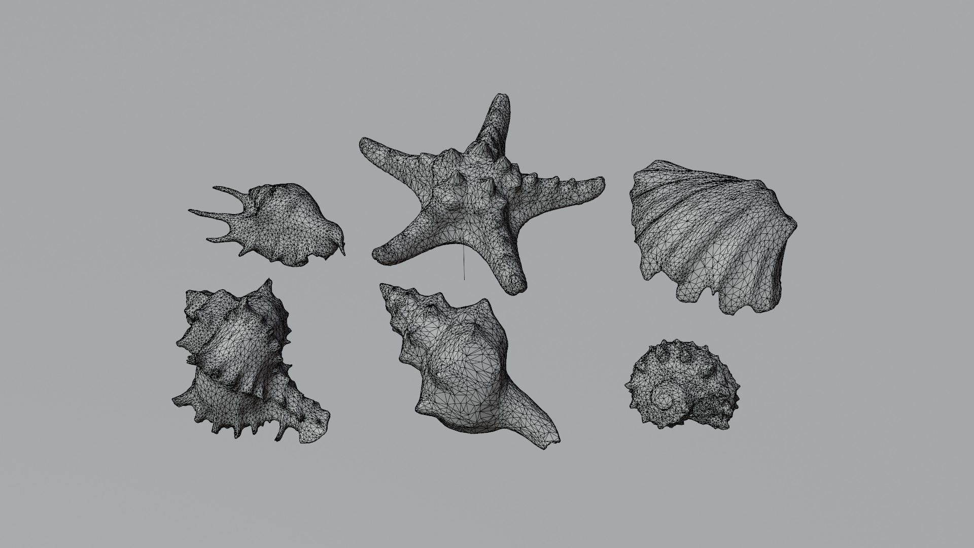 Sea shells collection Vol 1 Low-poly 3D model_4