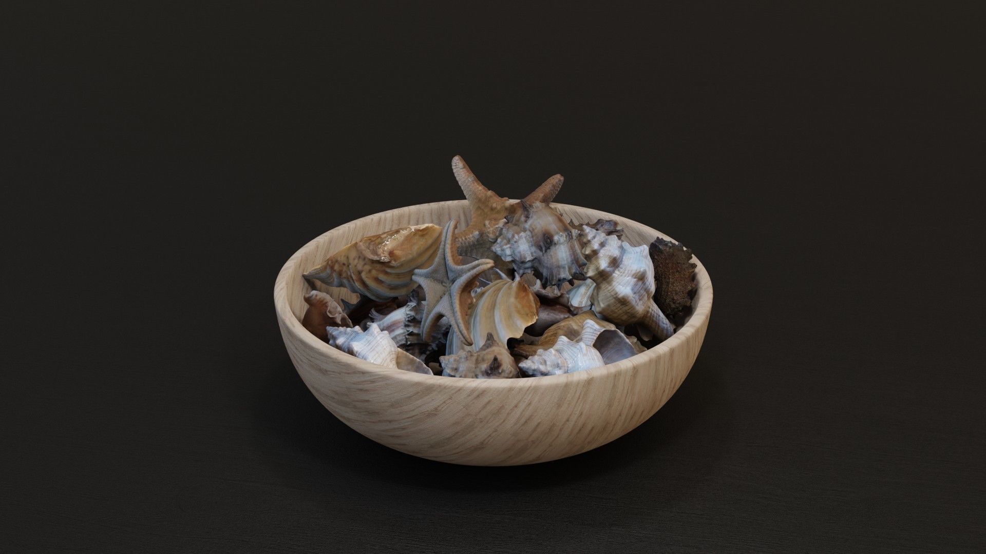 Sea shells collection Vol 1 Low-poly 3D model_8