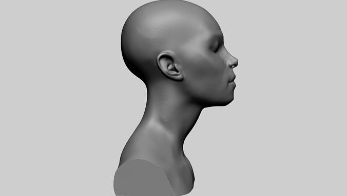 Female Head Form 3D model