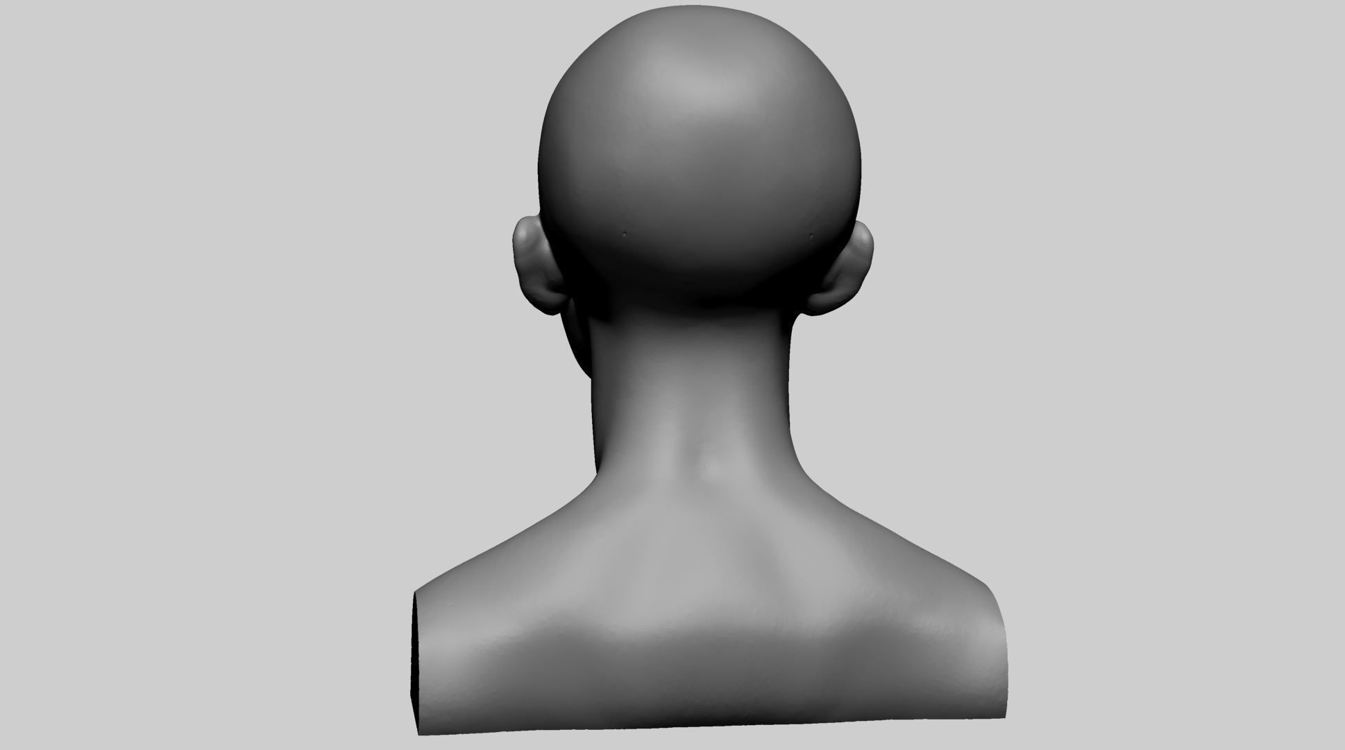 Female Head Form 3D model_3