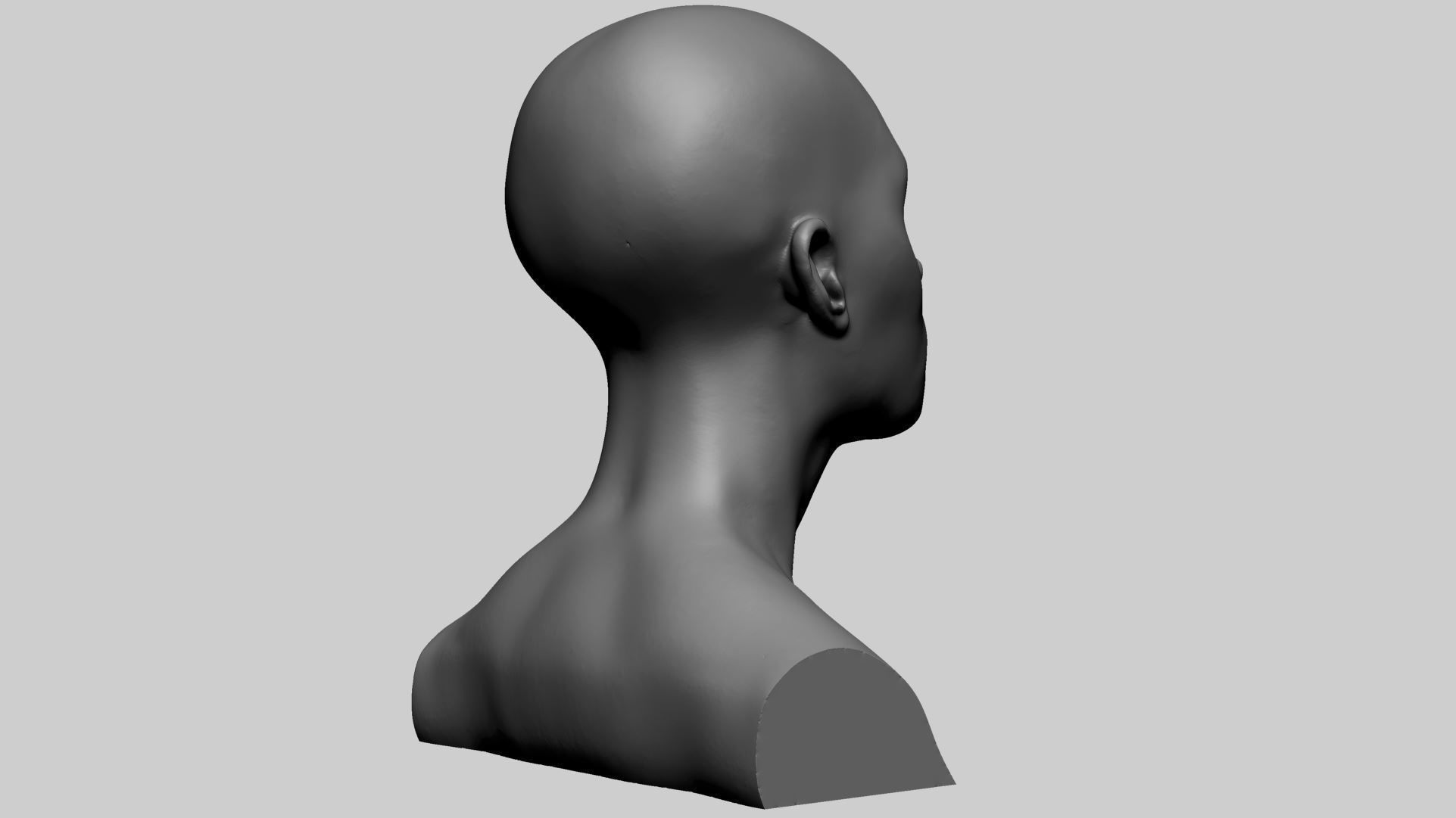 Female Head Form 3D model_2
