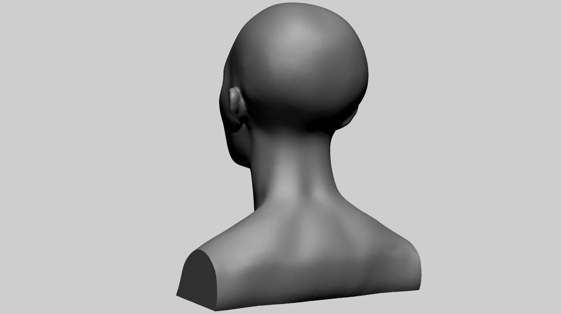Female Head Form 3D model_4