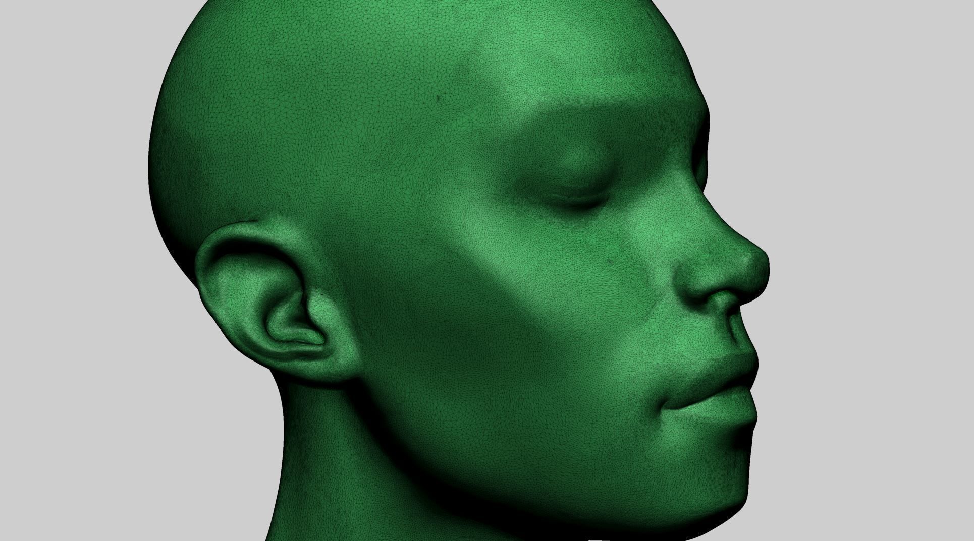 Female Head Form 3D model_11