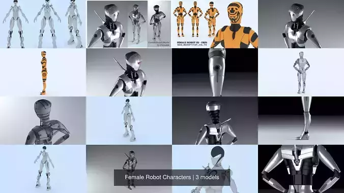 Female Robot Characters 3D Model Collection