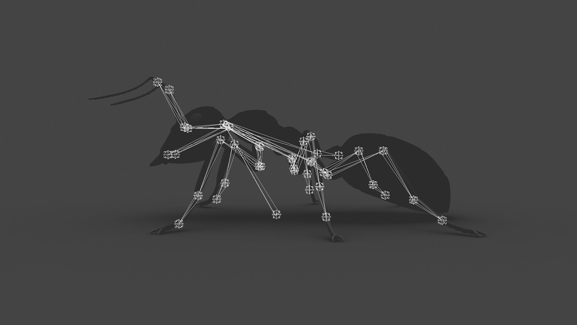 ANTS-001 Rigged Black Ant Low-poly 3D model_8