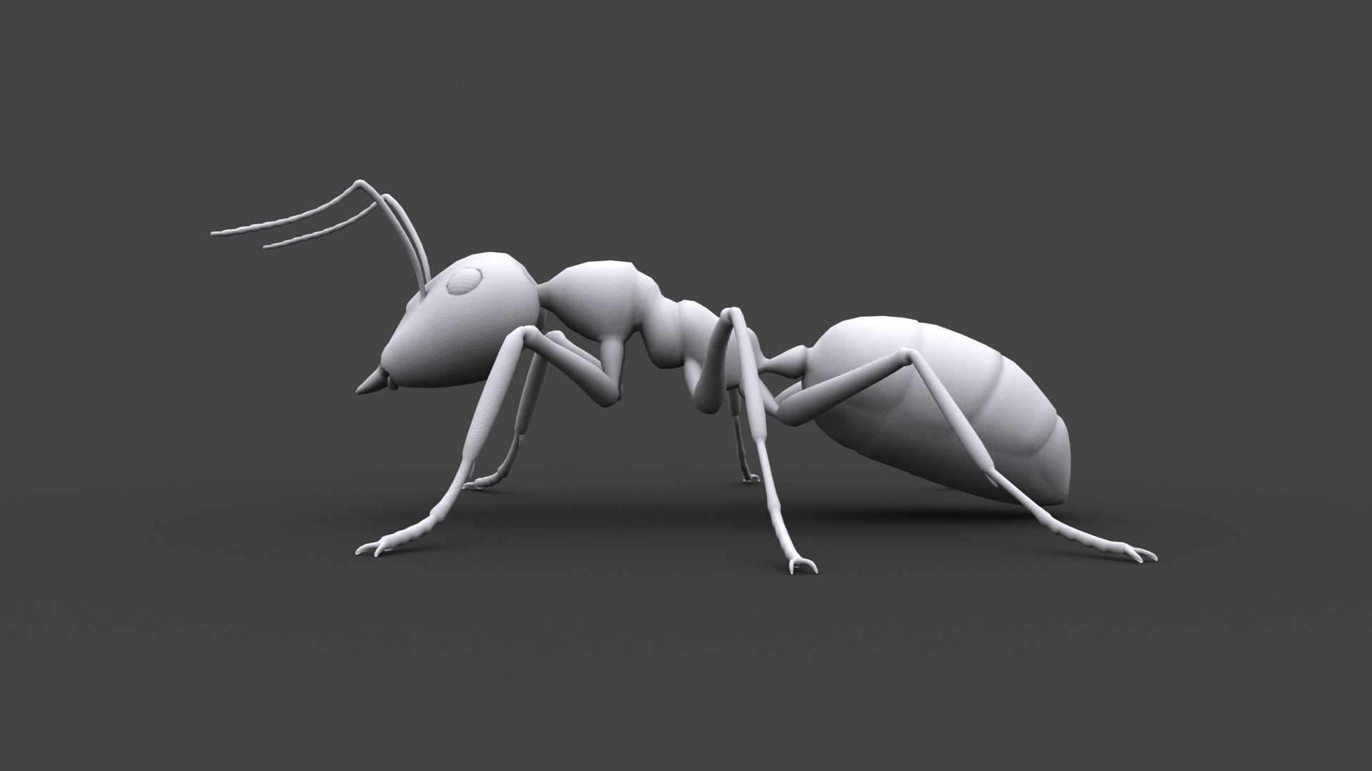 ANTS-001 Rigged Black Ant Low-poly 3D model_5