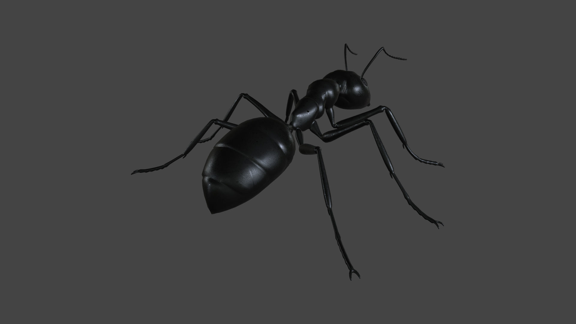ANTS-001 Rigged Black Ant Low-poly 3D model_3