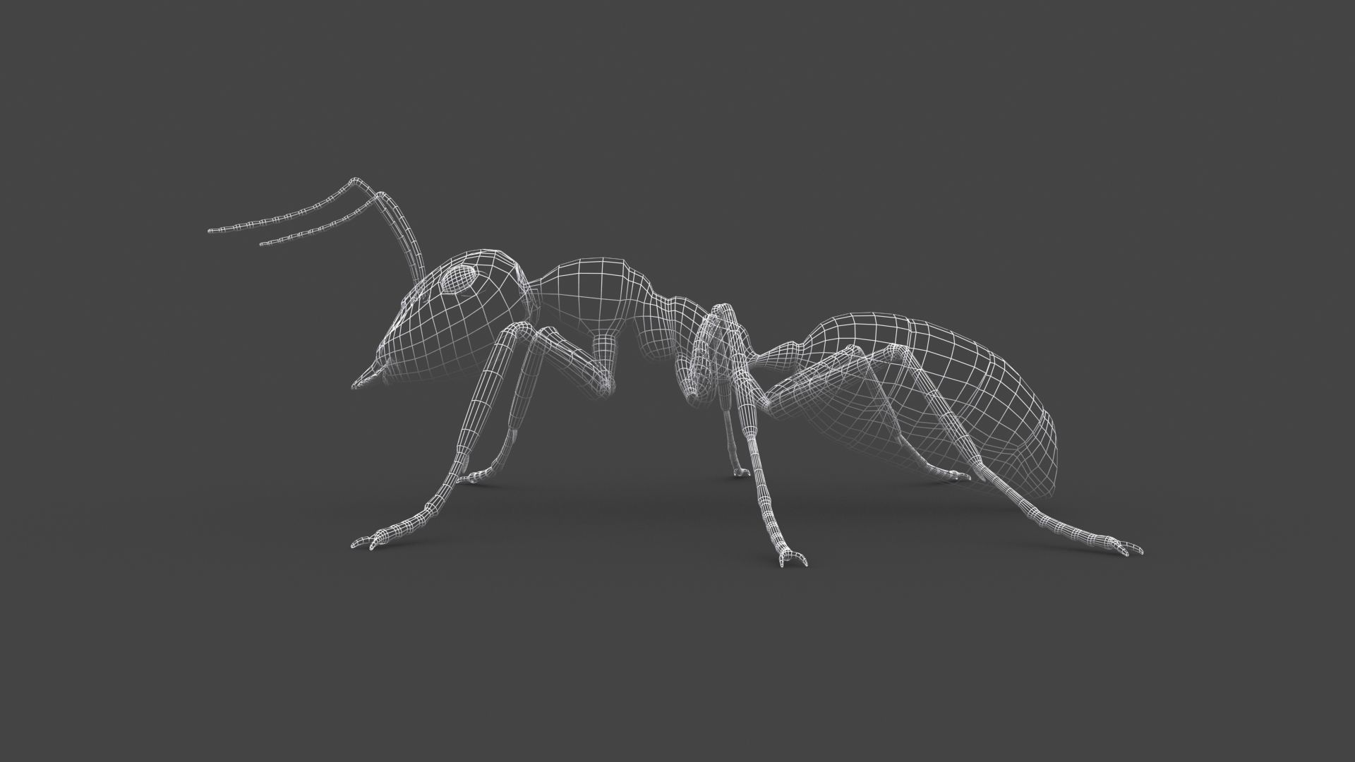 ANTS-001 Rigged Black Ant Low-poly 3D model_7