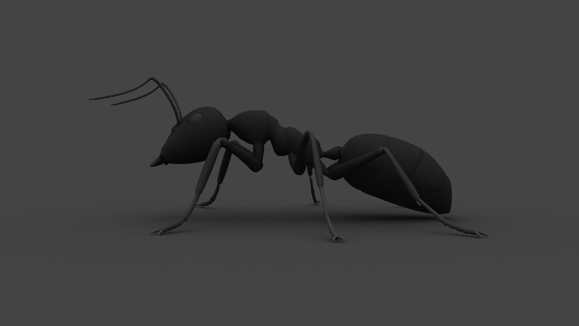 ANTS-001 Rigged Black Ant Low-poly 3D model_4