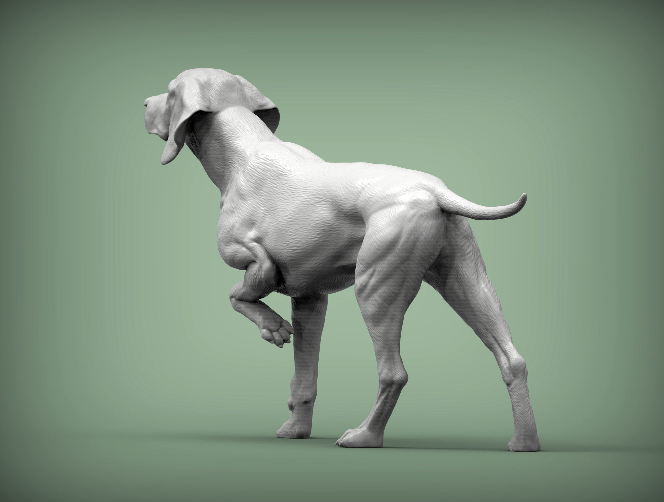 Hungarian vizsla Hungarian Pointing Dog 3D print model 3D print model_5