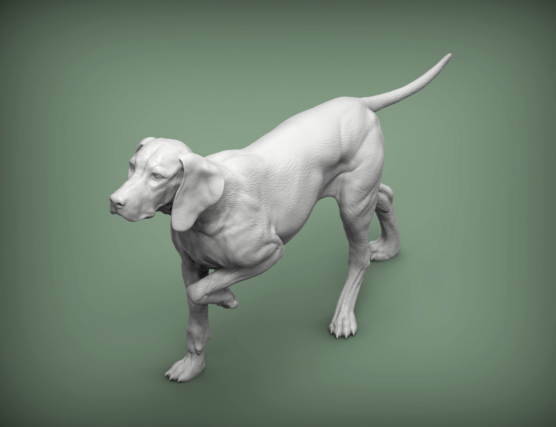 Hungarian vizsla Hungarian Pointing Dog 3D print model 3D print model_2