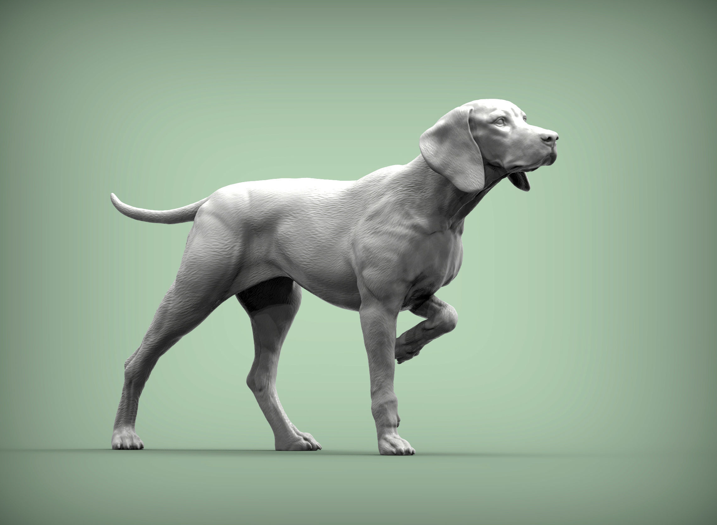 Hungarian vizsla Hungarian Pointing Dog 3D print model 3D print model_1