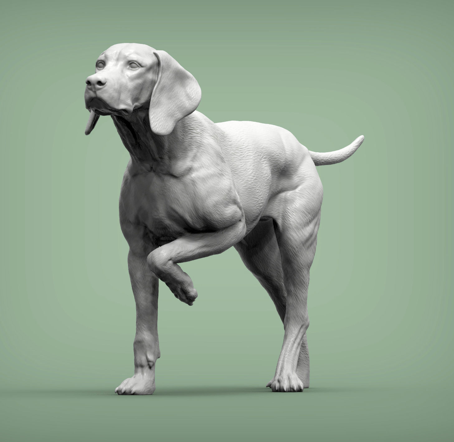 Hungarian vizsla Hungarian Pointing Dog 3D print model 3D print model_3