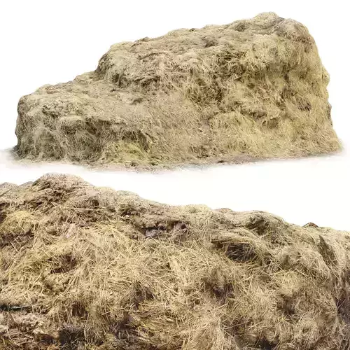 Manure with hay  3d scan 3D model
