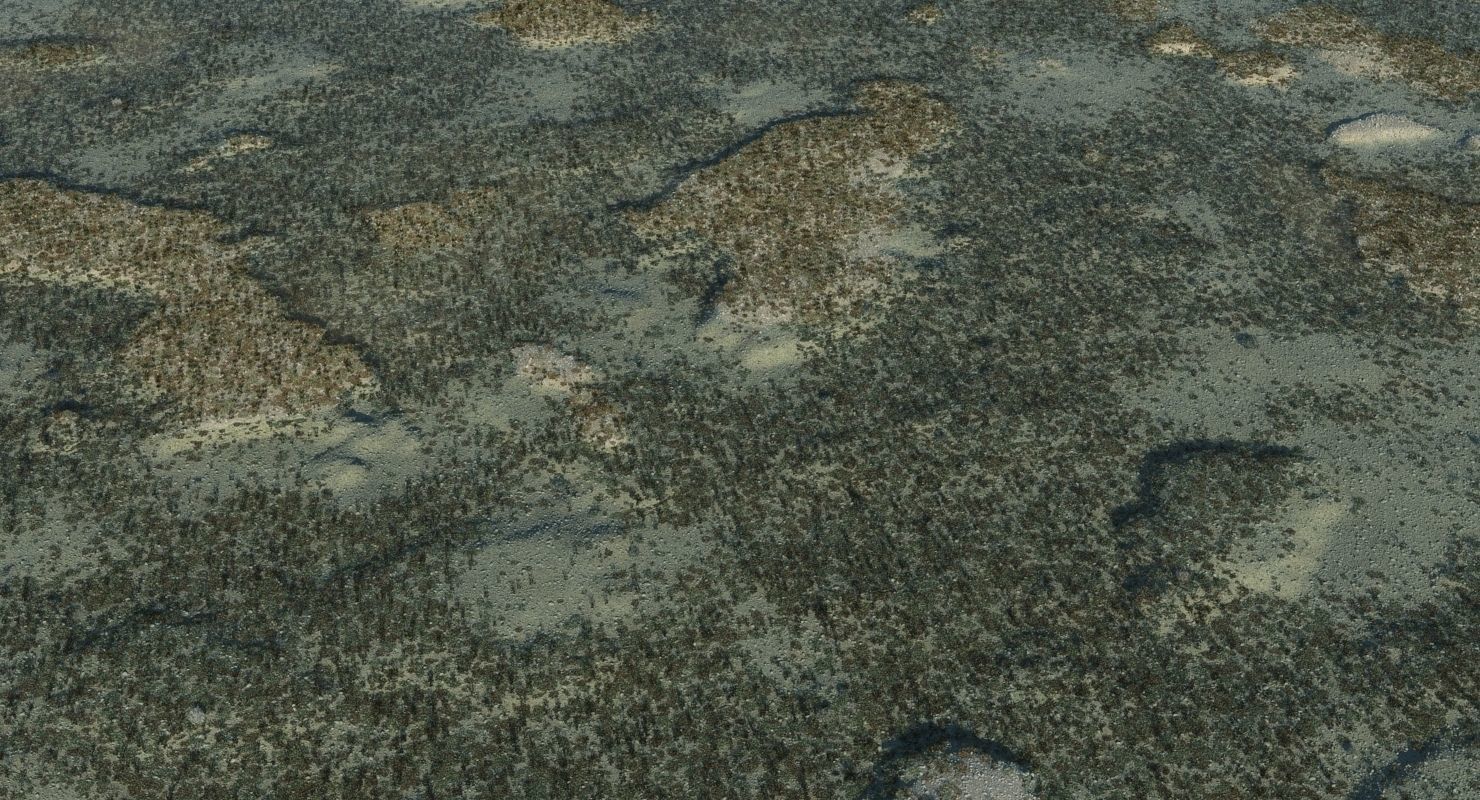 Marshland Swamp 3D model_2