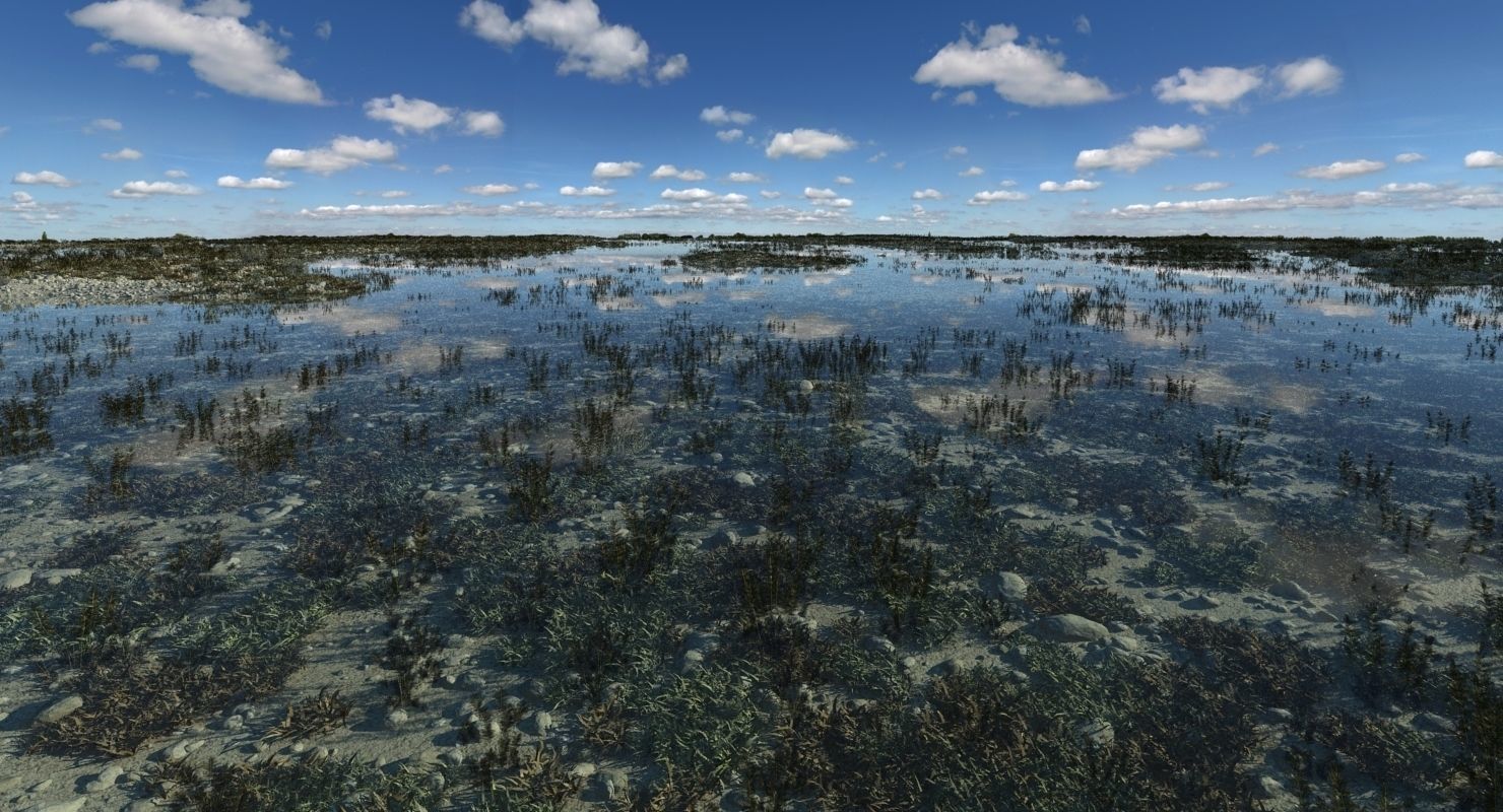 Marshland Swamp 3D model_5