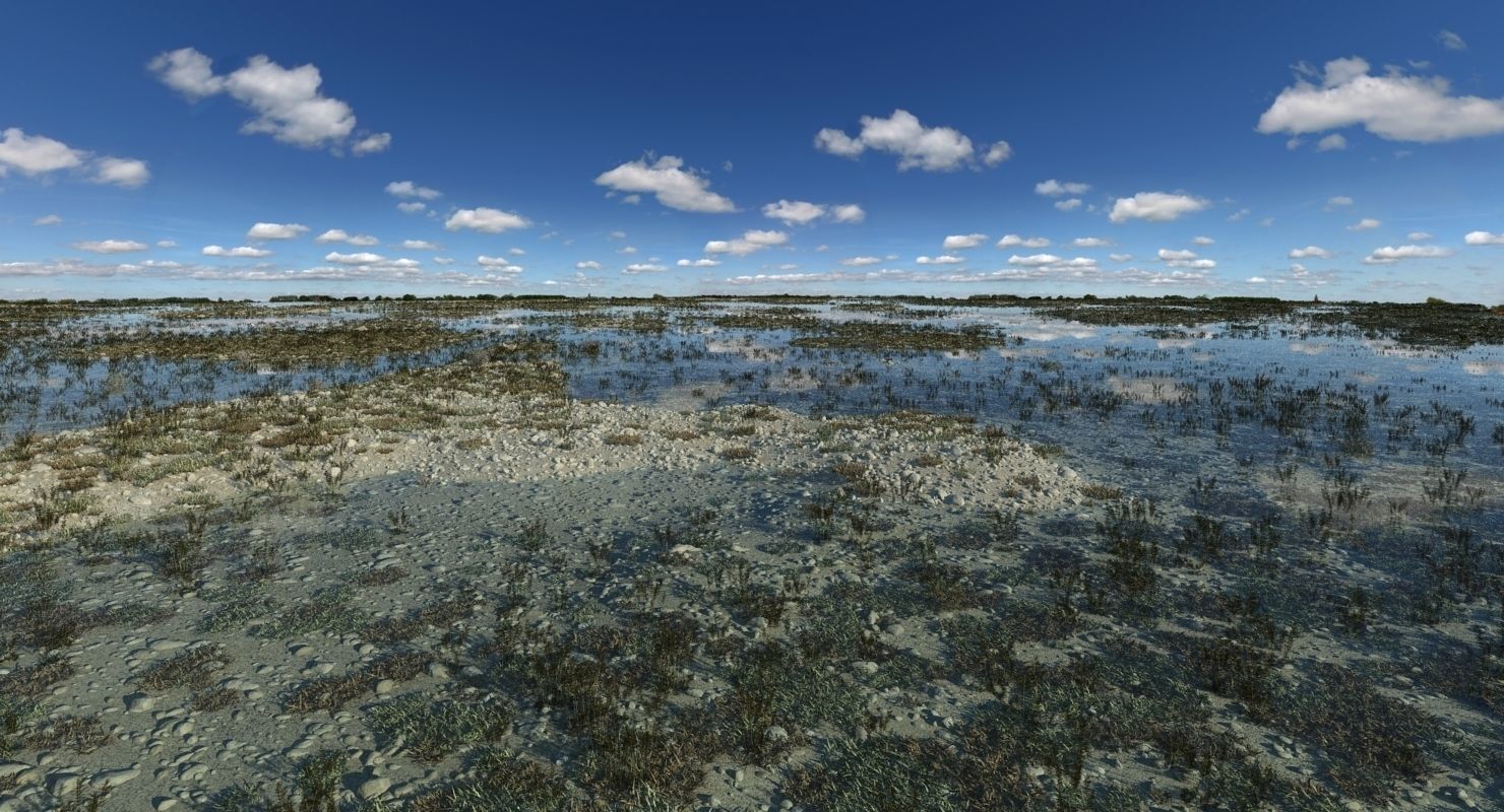 Marshland Swamp 3D model_12