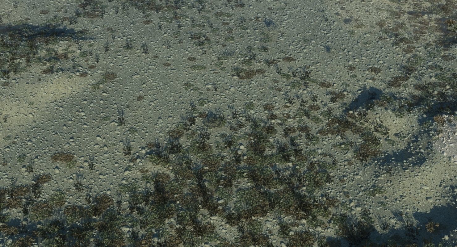 Marshland Swamp 3D model_3