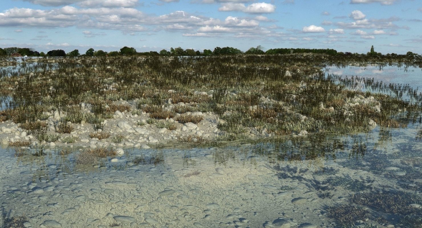 Marshland Swamp 3D model_1