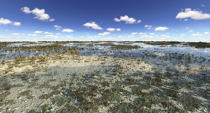 Marshland Swamp 3D model