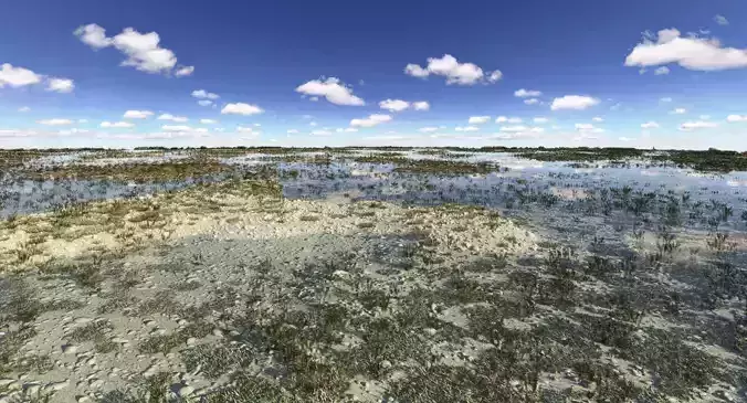 Marshland Swamp 3D model Marshland Swamp 3D model