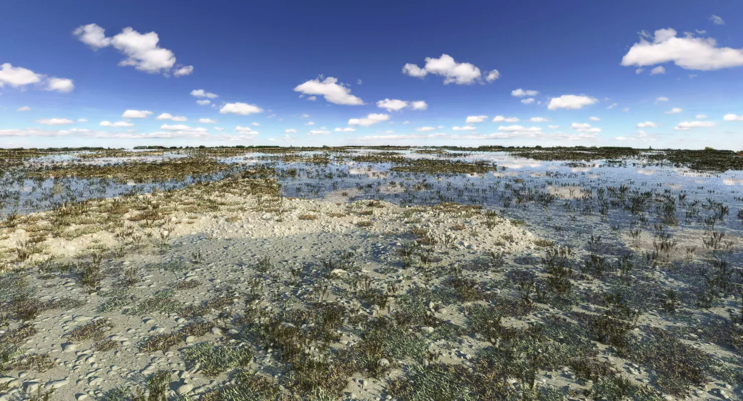 Marshland Swamp 3D model_0